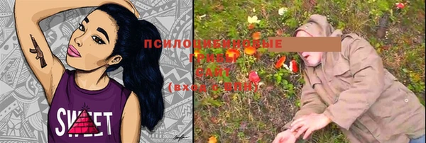 прущий лед Белокуриха
